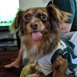 Meet your Posher, Rachael